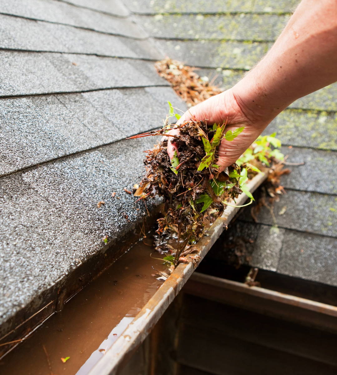 Professional Gutter Cleaning